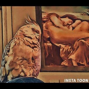 Meet your Posher, Joe